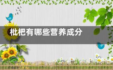 枇杷有哪些营养成分  枇杷营养成分有什么(枇杷有哪些营养价值画画)
